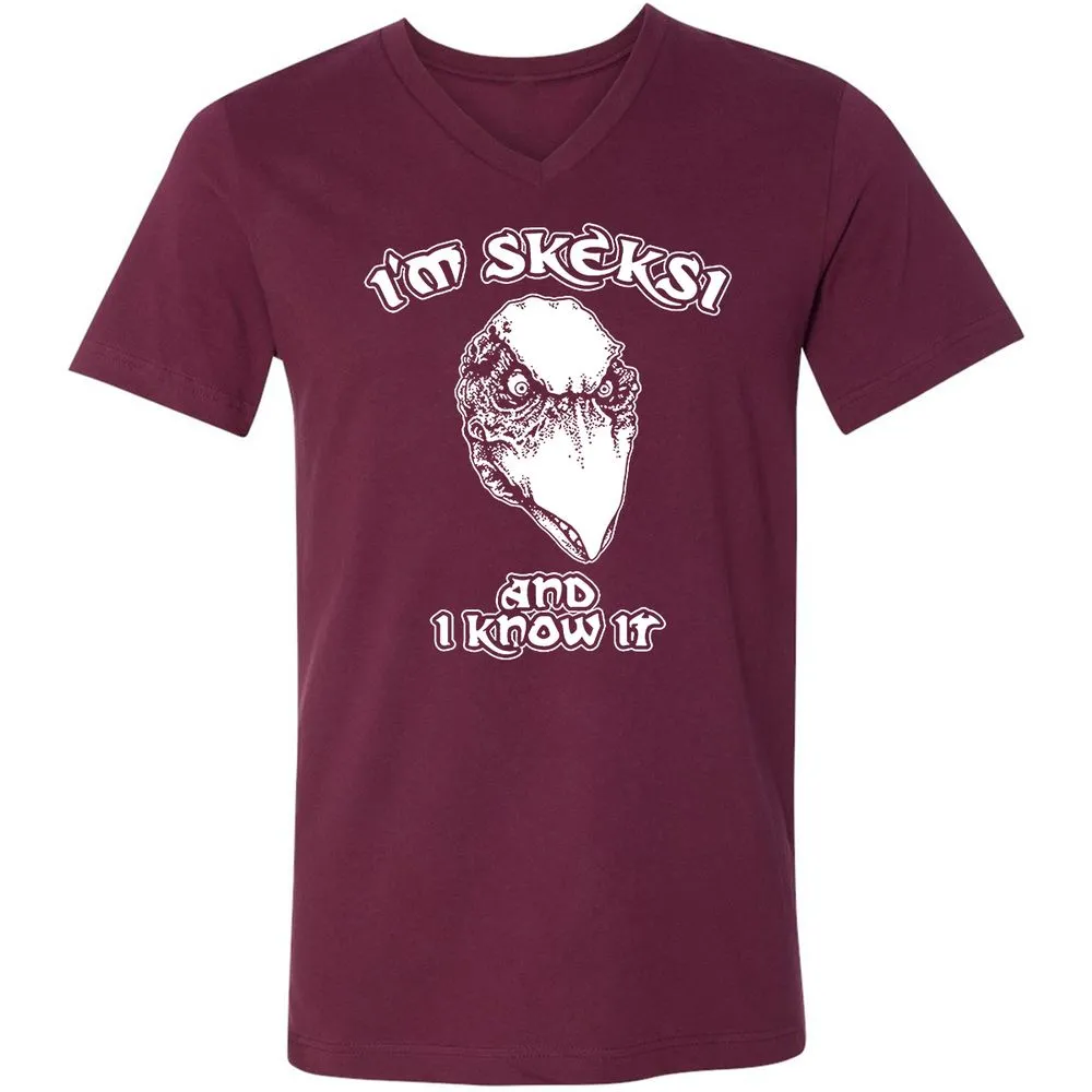 Unisex V-Neck T-Shirt - AGCXZ1HQ - Maroon - 6