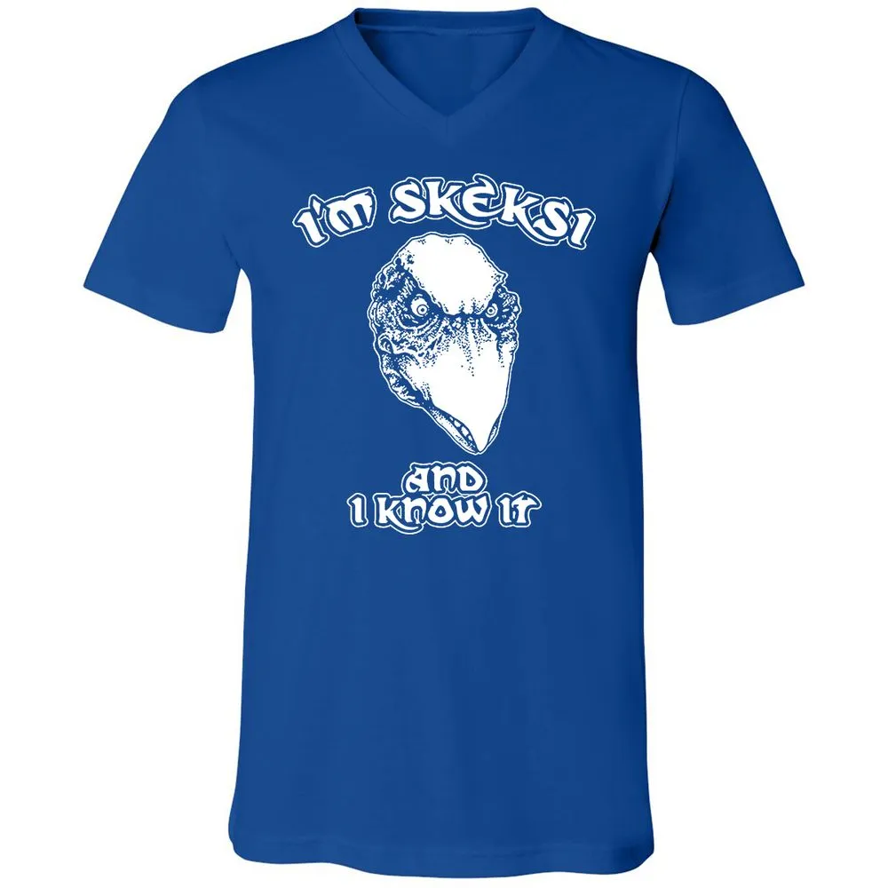 Unisex V-Neck T-Shirt - AGCXZ1HQ - True Royal - 4