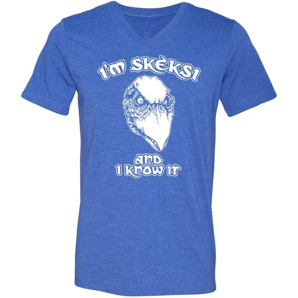 Unisex V-Neck T-Shirt - AGCXZ1HQ - Heather True Royal - 14