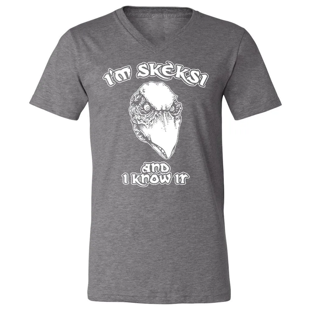 Unisex V-Neck T-Shirt - AGCXZ1HQ - Deep Heather - 13