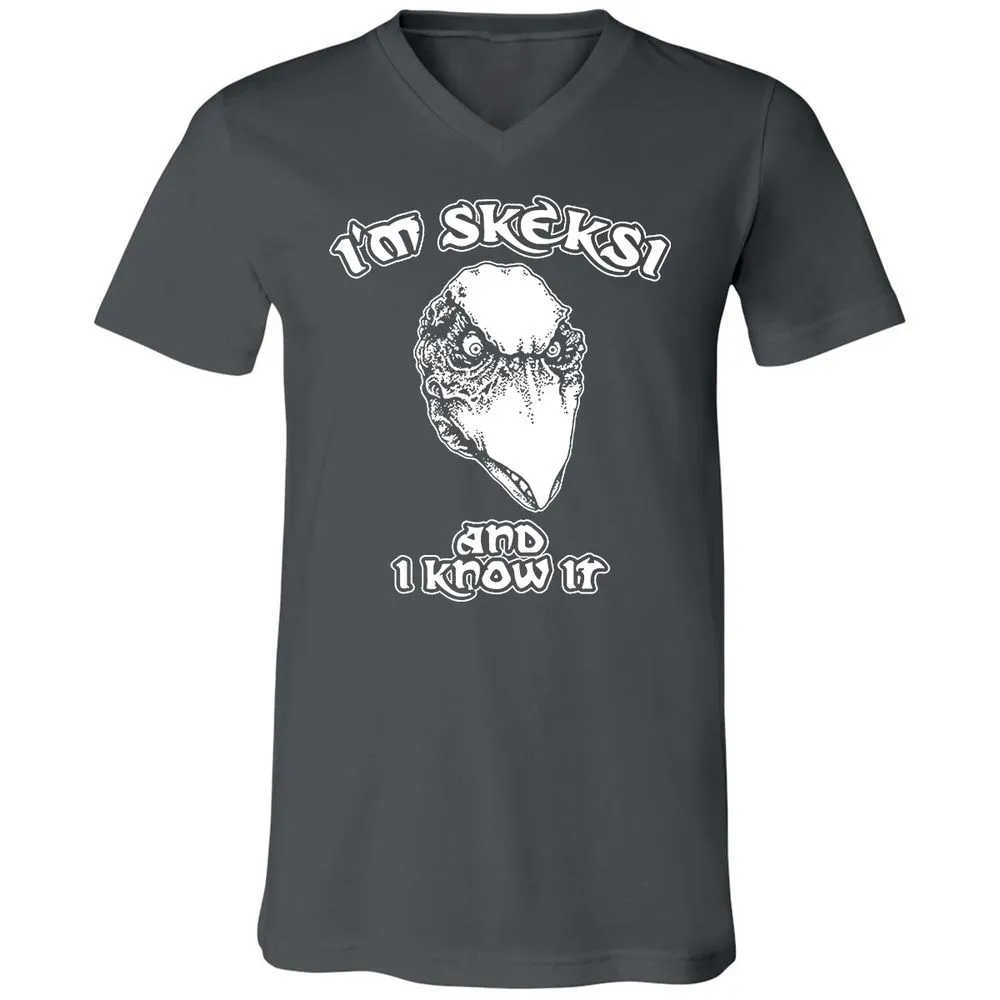 Unisex V-Neck T-Shirt - AGCXZ1HQ - Asphalt - 12