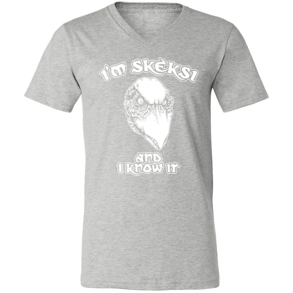 Unisex V-Neck T-Shirt - AGCXZ1HQ - Athletic Heather - 7