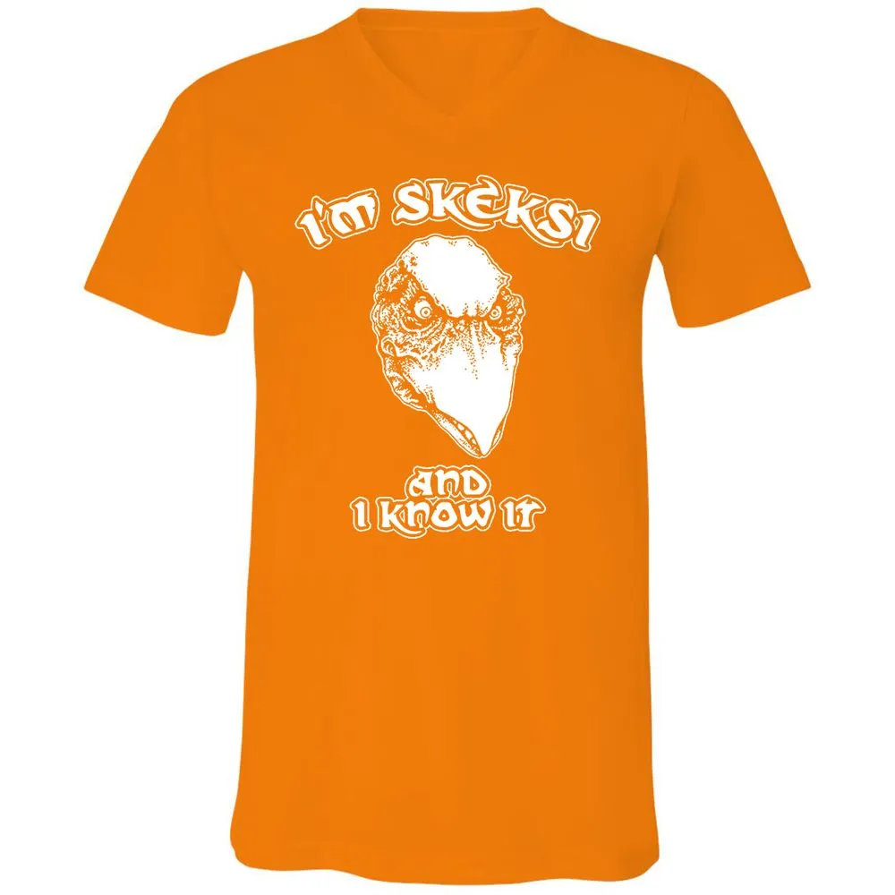 Unisex V-Neck T-Shirt - AGCXZ1HQ - Orange - 11