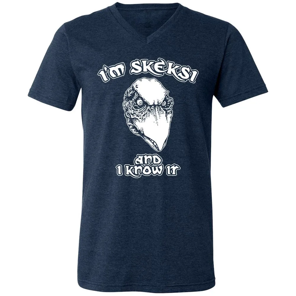 Unisex V-Neck T-Shirt - AGCXZ1HQ - Heather Navy - 15