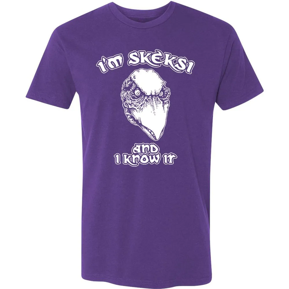 Premium Unisex T-Shirt - BSAFMLMJ - Purple Rush - 7