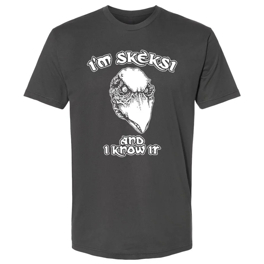 Premium Unisex T-Shirt - BSAFMLMJ - Heavy Metal - 8
