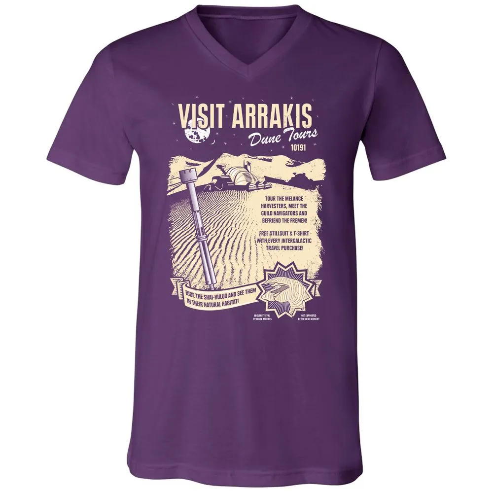 Unisex V-Neck T-Shirt - DDZYQH5R - Team Purple - 9