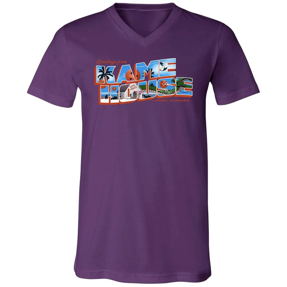 Unisex V-Neck T-Shirt - SU17MH6C - Team Purple - 9