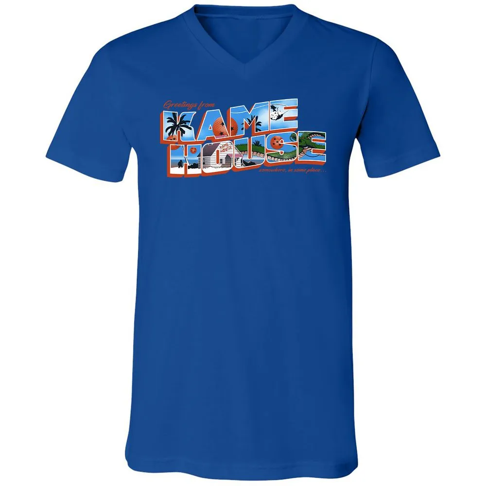 Unisex V-Neck T-Shirt - SU17MH6C - True Royal - 4