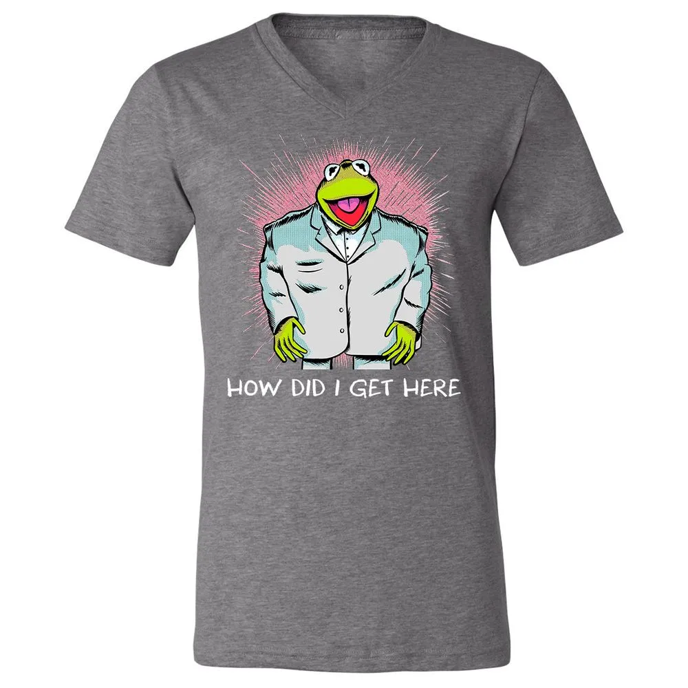 Unisex V-Neck T-Shirt - RMLZ74XY - Deep Heather - 13