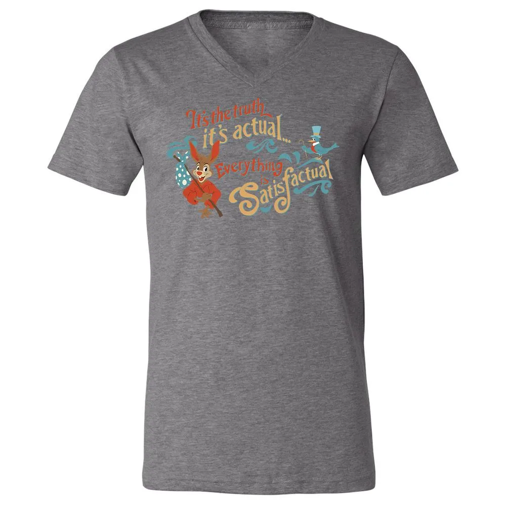 Unisex V-Neck T-Shirt - PQ3GBXTH - Deep Heather - 13