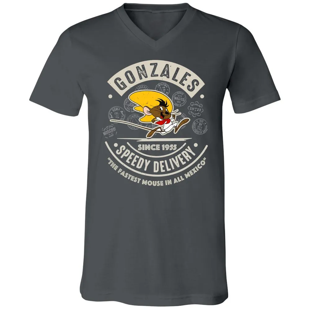 Unisex V-Neck T-Shirt - AA6QHQ7S - Asphalt - 12