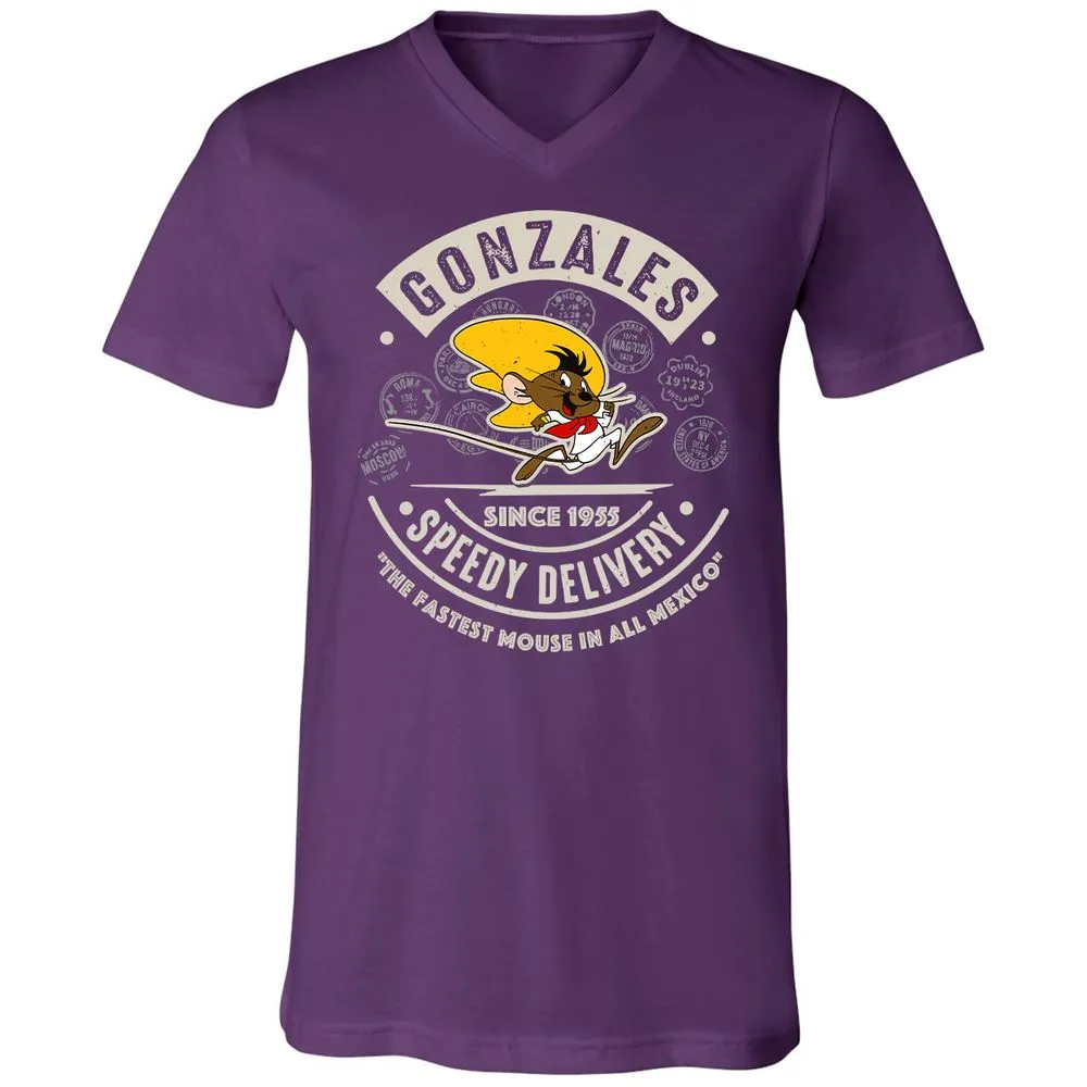 Unisex V-Neck T-Shirt - AA6QHQ7S - Team Purple - 9
