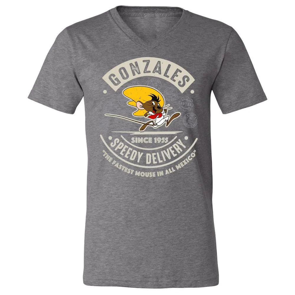 Unisex V-Neck T-Shirt - AA6QHQ7S - Deep Heather - 13