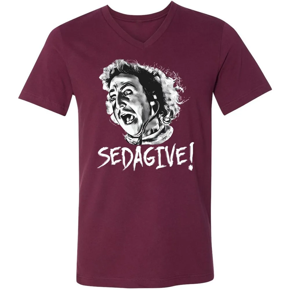 Unisex V-Neck T-Shirt - LF2UNZRP - Maroon - 6