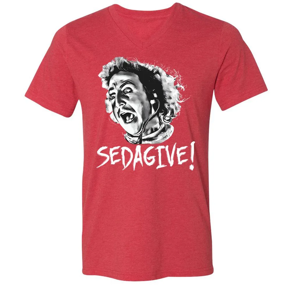Unisex V-Neck T-Shirt - LF2UNZRP - Heather Red - 16