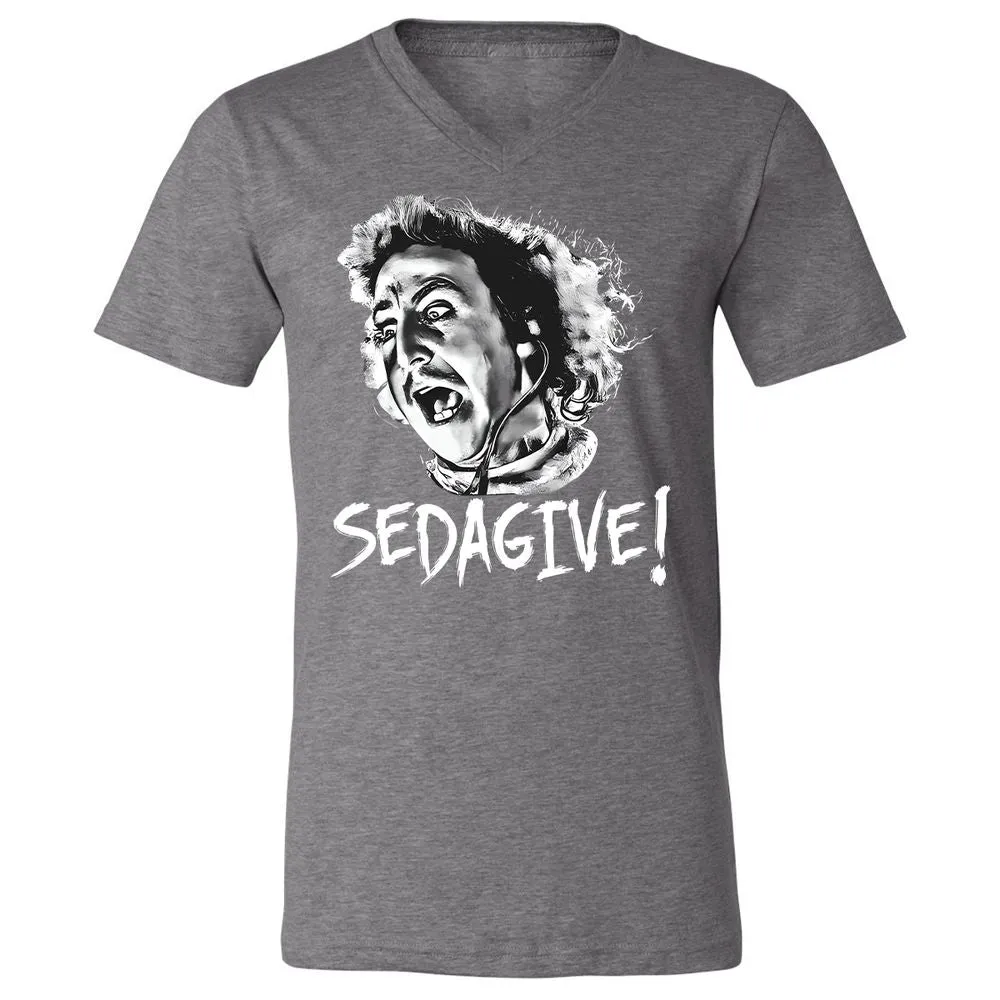 Unisex V-Neck T-Shirt - LF2UNZRP - Deep Heather - 13