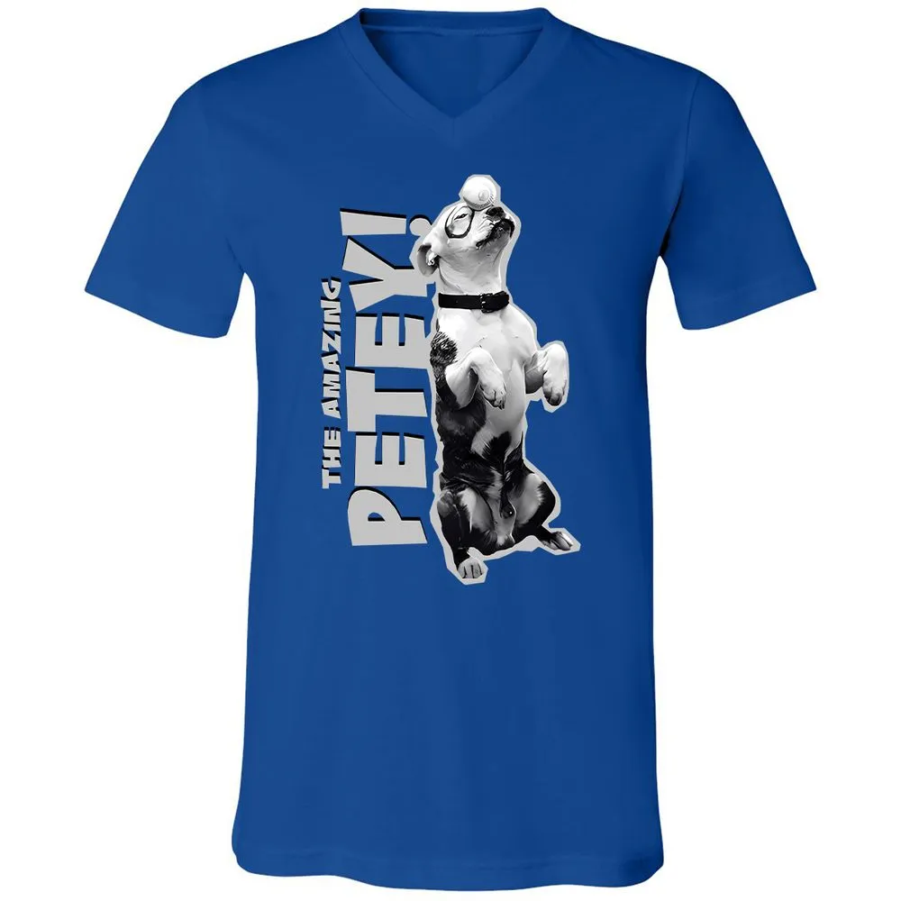 Unisex V-Neck T-Shirt - GTA4QVXH - True Royal - 4
