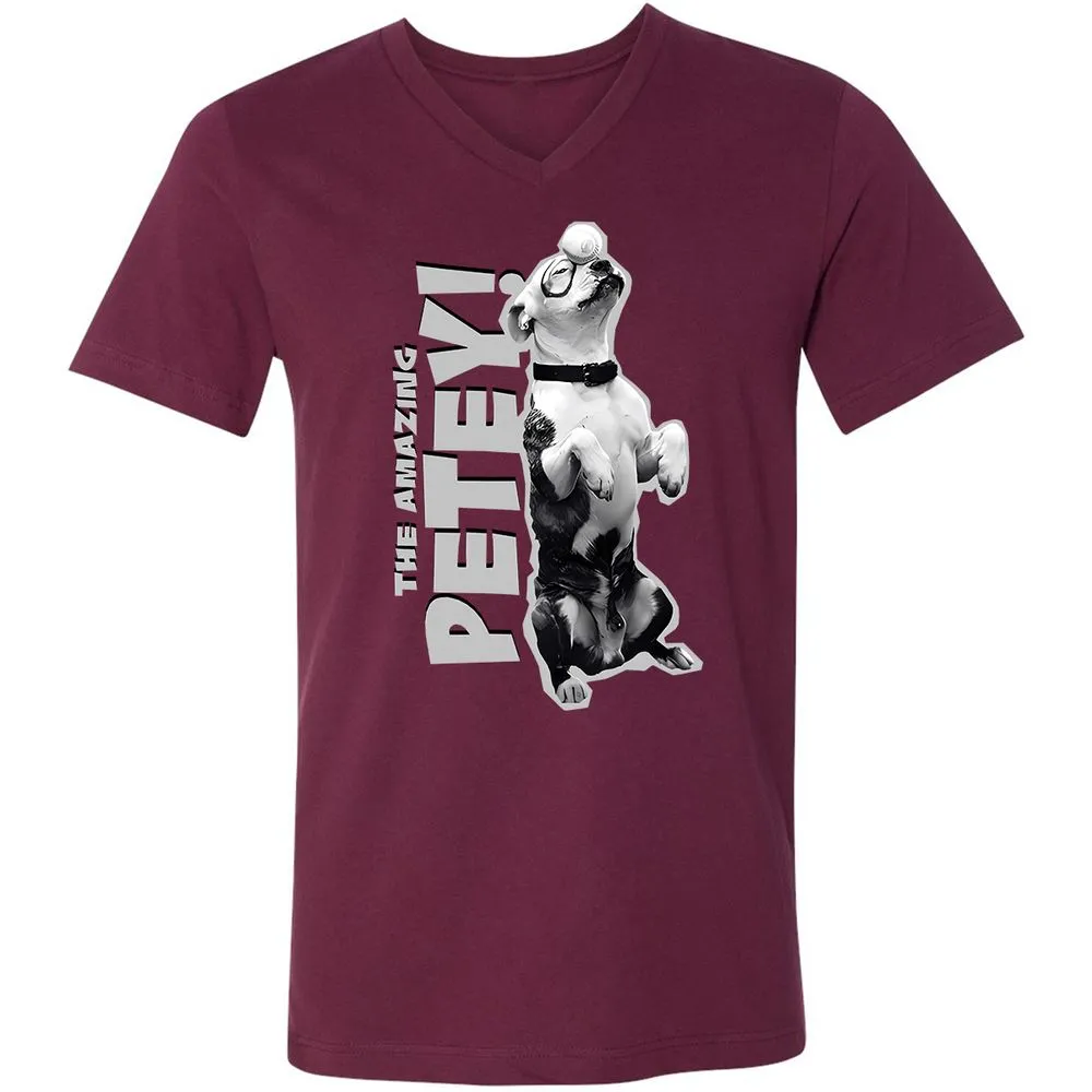 Unisex V-Neck T-Shirt - GTA4QVXH - Maroon - 6
