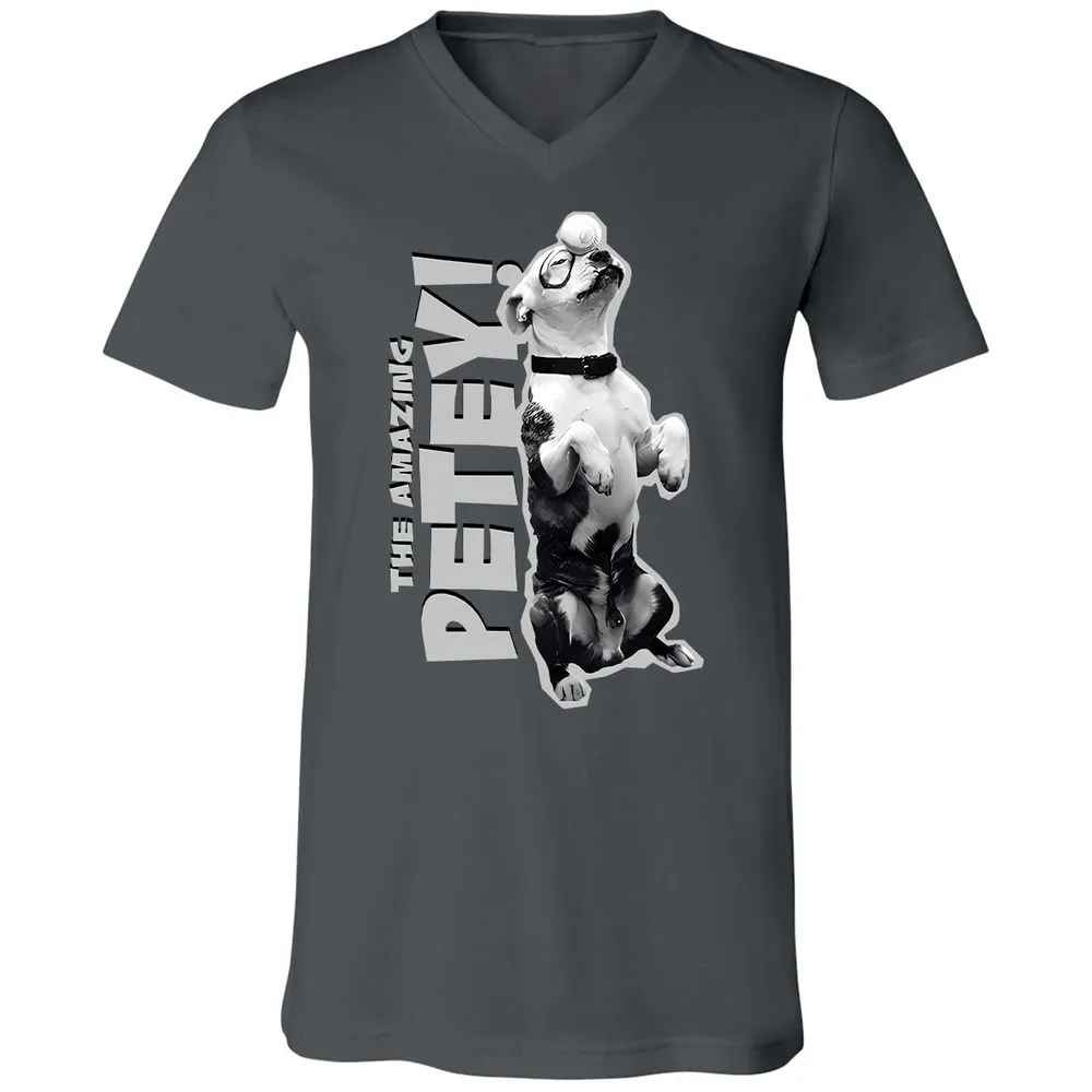 Unisex V-Neck T-Shirt - GTA4QVXH - Asphalt - 12