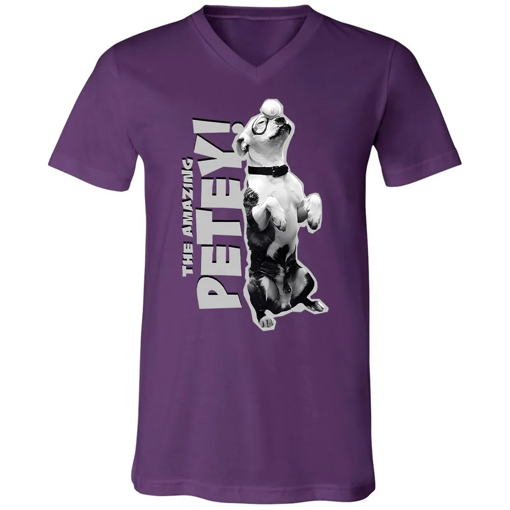 Unisex V-Neck T-Shirt - GTA4QVXH - Team Purple - 9