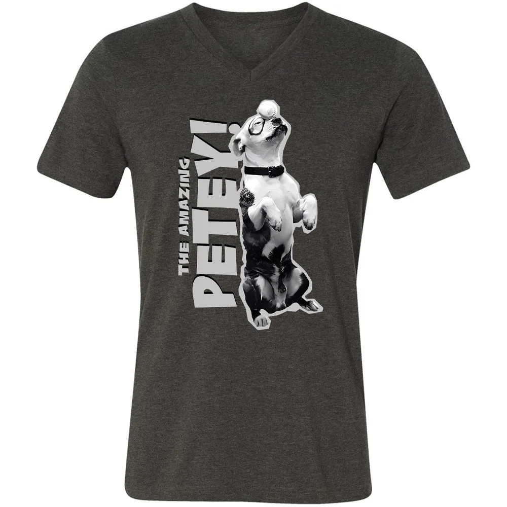 Unisex V-Neck T-Shirt - GTA4QVXH - Dark Grey Heather - 8