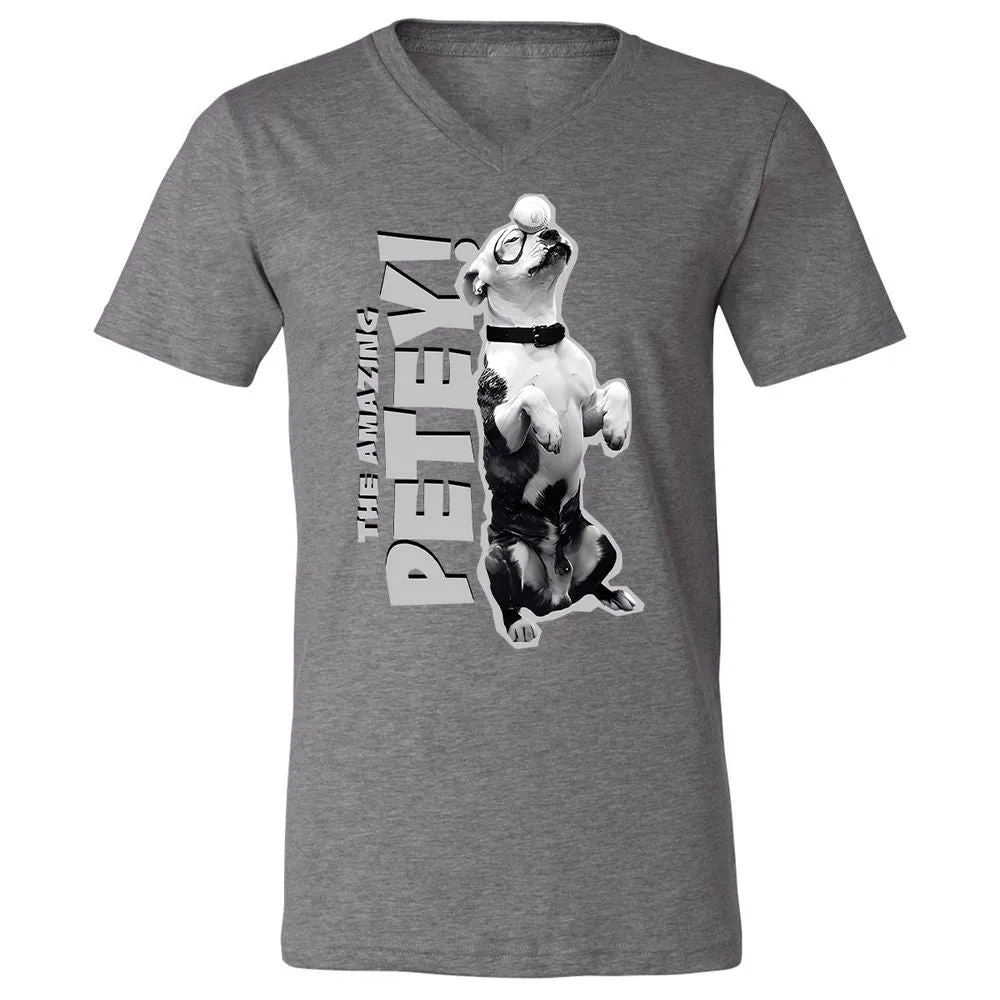 Unisex V-Neck T-Shirt - GTA4QVXH - Deep Heather - 13