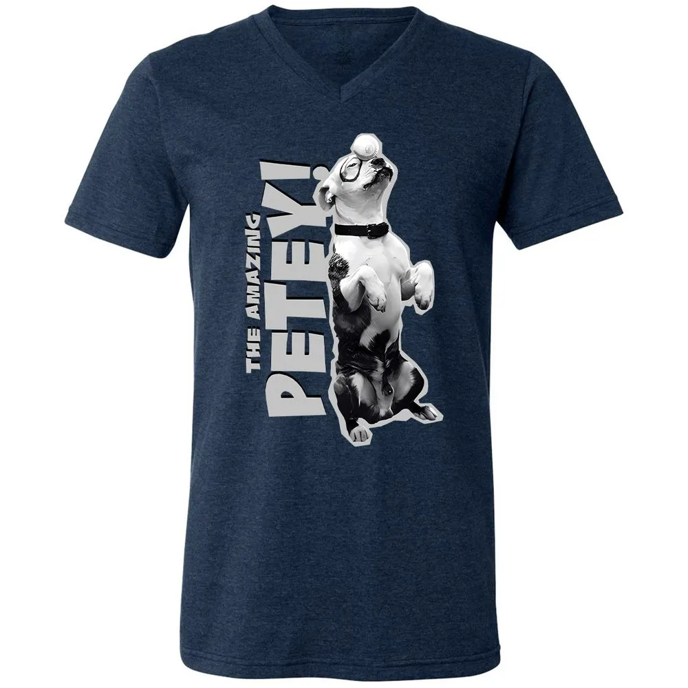 Unisex V-Neck T-Shirt - GTA4QVXH - Heather Navy - 15