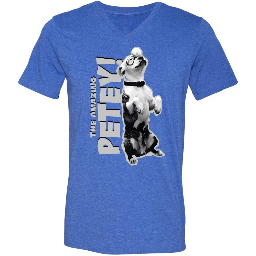 Unisex V-Neck T-Shirt - GTA4QVXH - Heather True Royal - 14