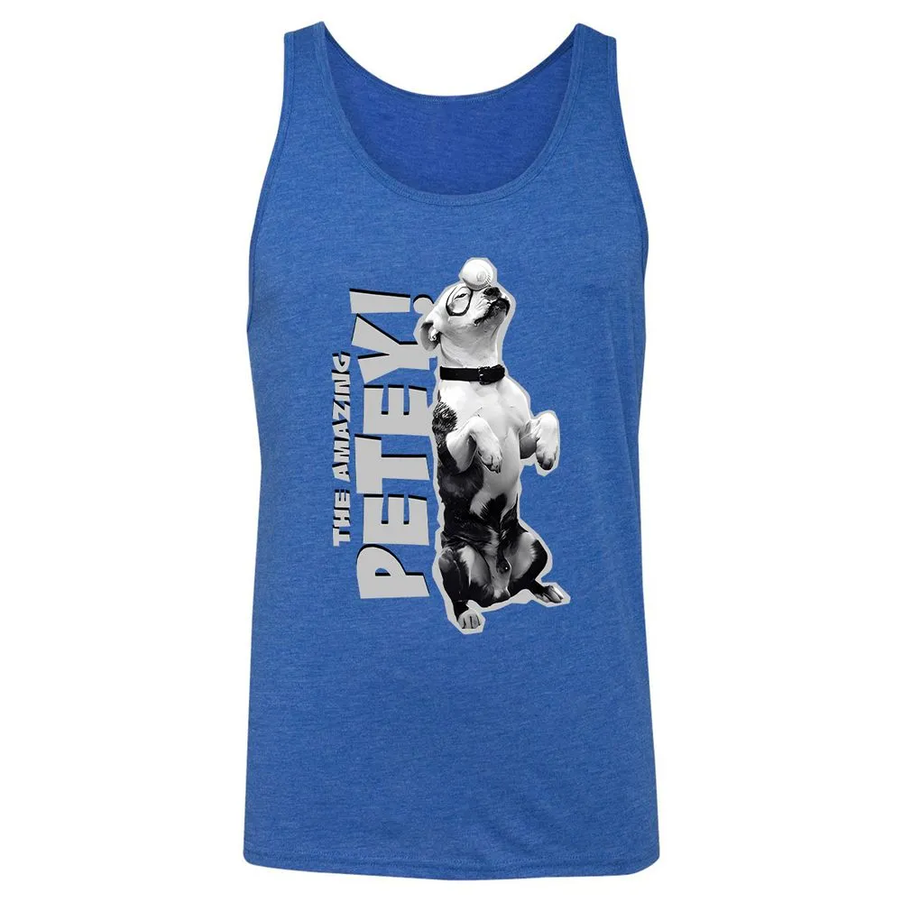 Unisex Jersey Tank - DQGFVUWY - True Royal Triblend - 12