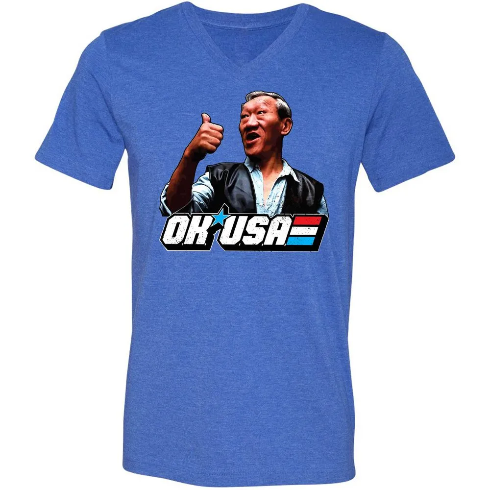 Unisex V-Neck T-Shirt - T631UCHG - Heather True Royal - 14