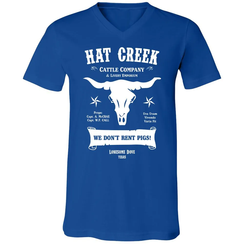 Unisex V-Neck T-Shirt - 5ENF3MHS - True Royal - 4