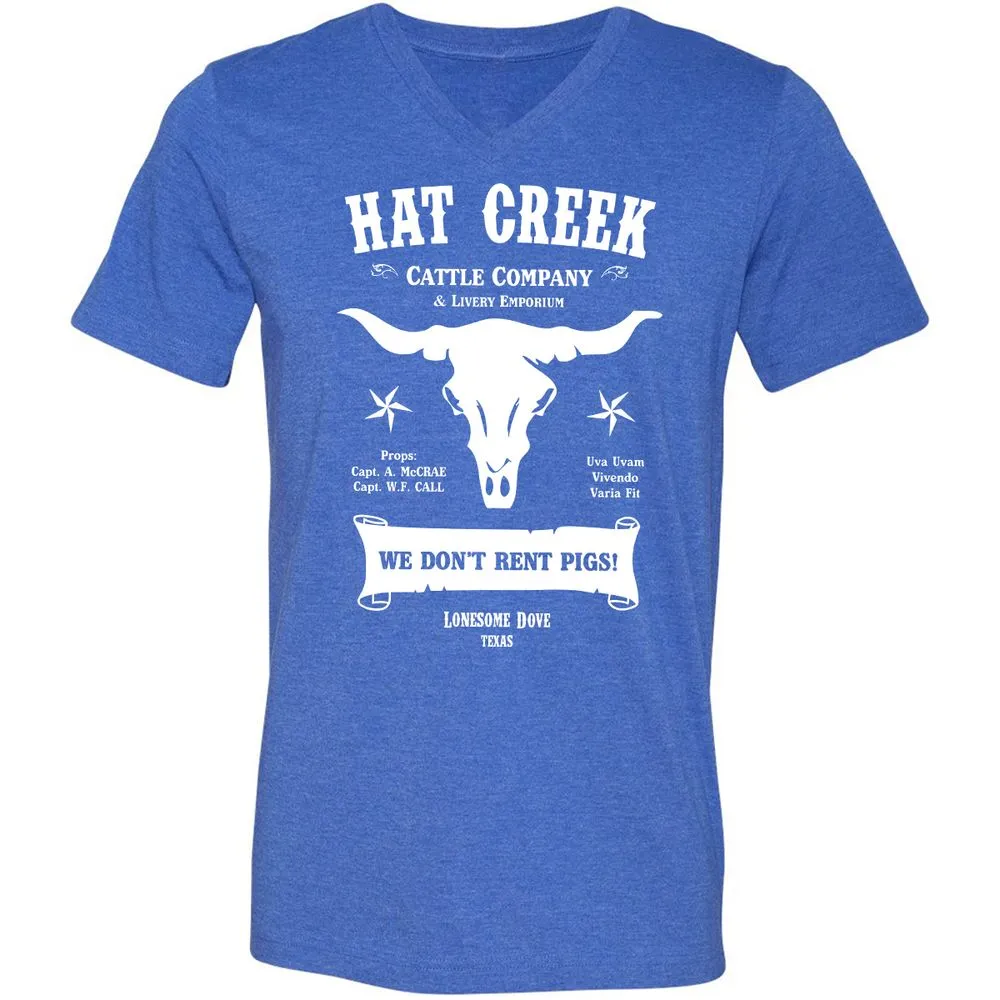 Unisex V-Neck T-Shirt - 5ENF3MHS - Heather True Royal - 14