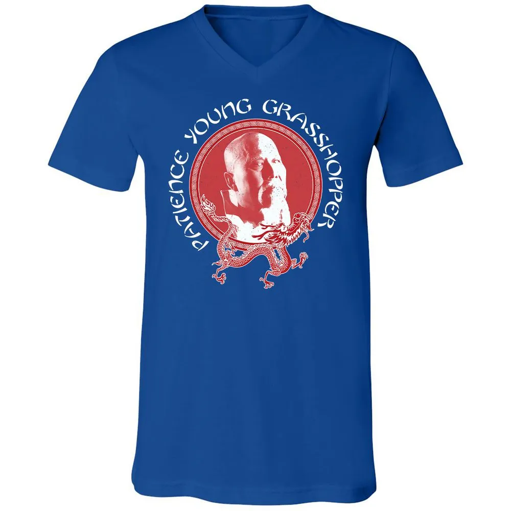 Unisex V-Neck T-Shirt - B97P5EHN - True Royal - 4