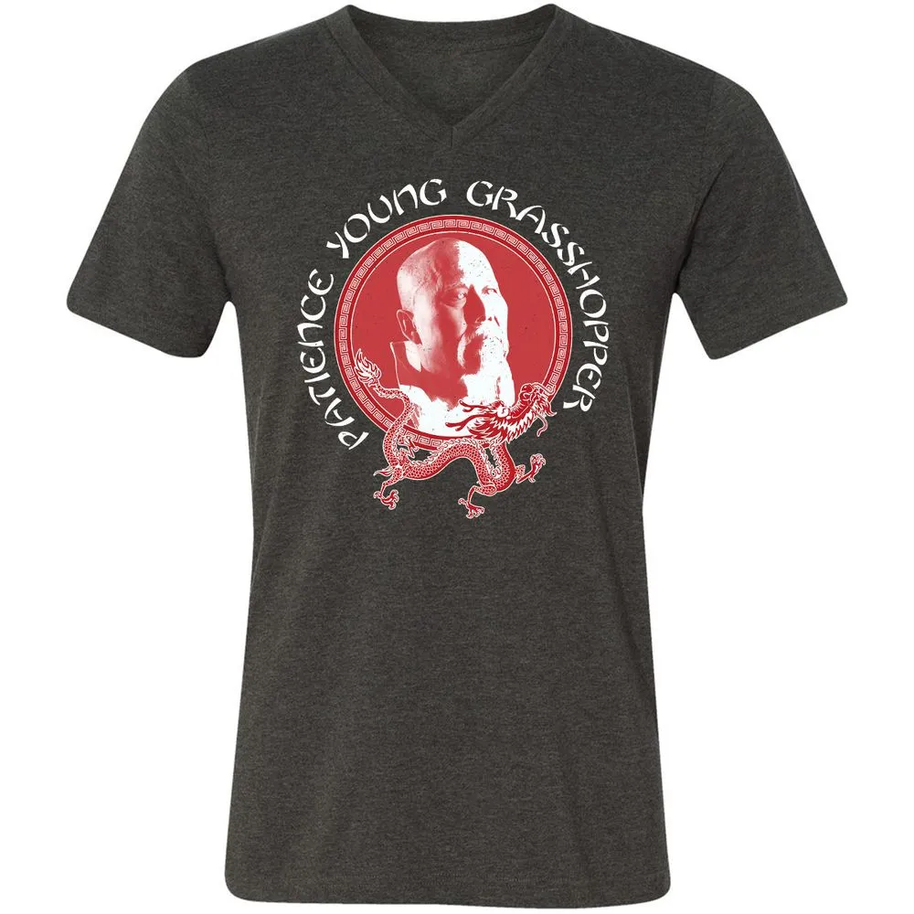 Unisex V-Neck T-Shirt - B97P5EHN - Dark Grey Heather - 8