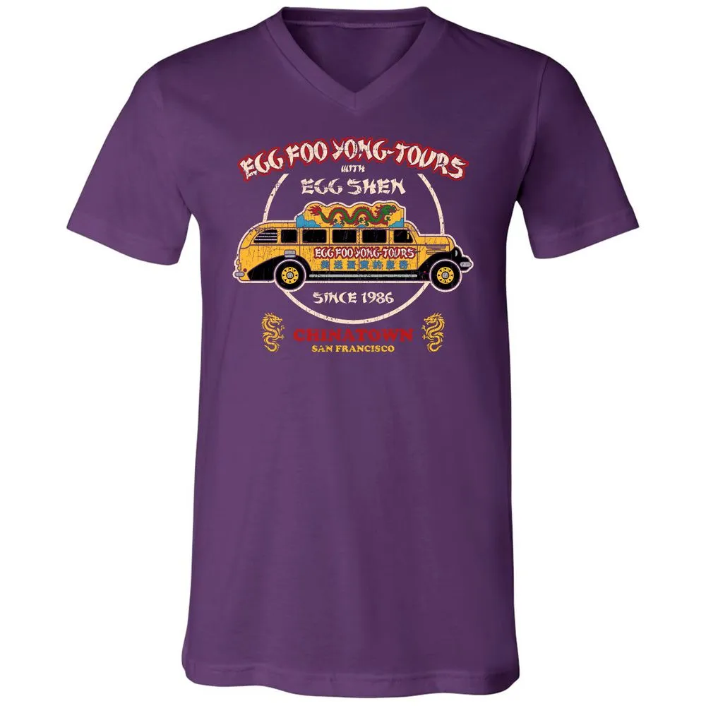 Unisex V-Neck T-Shirt - RTMN27JB - Team Purple - 9