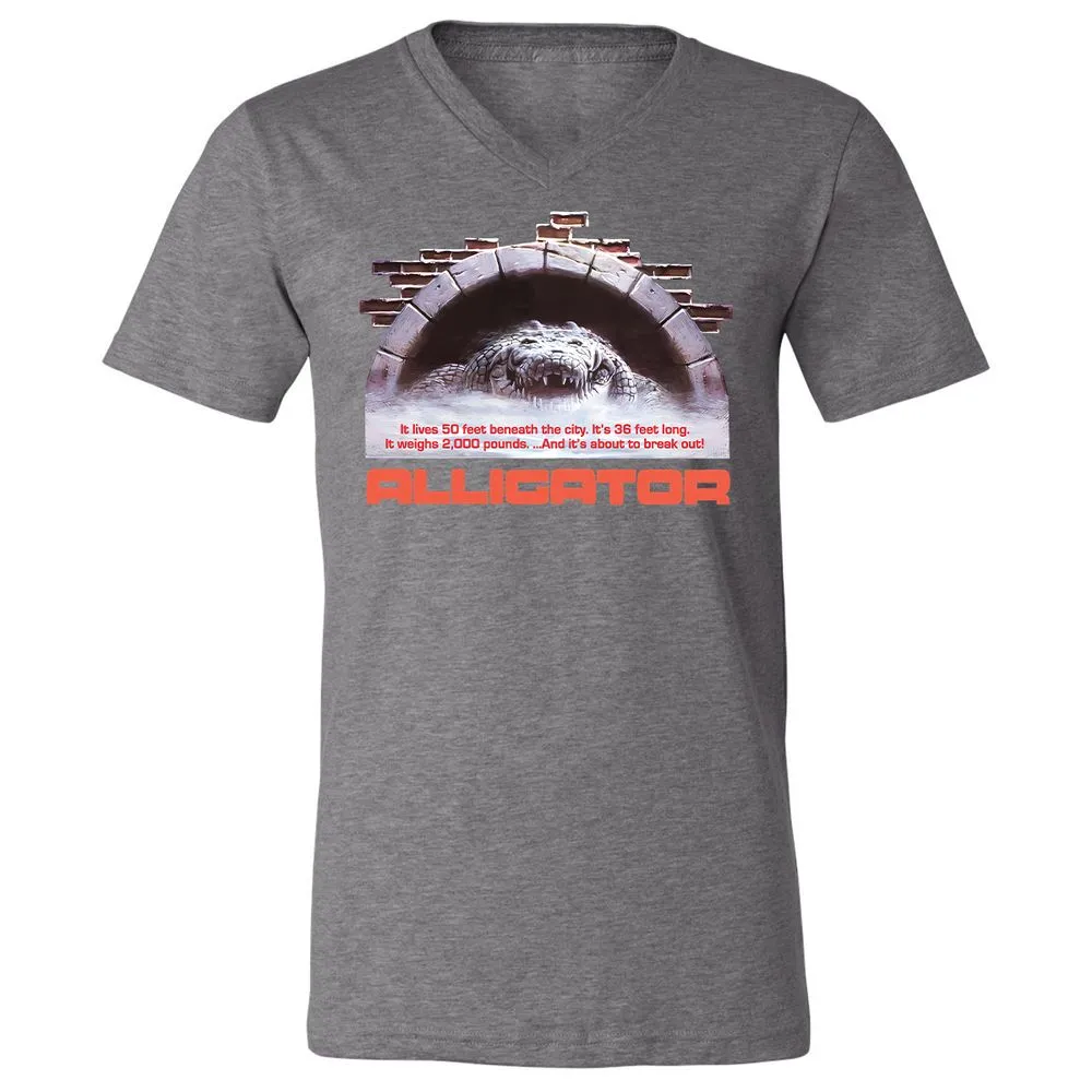 Unisex V-Neck T-Shirt - 2ZSVGE16 - Deep Heather - 13