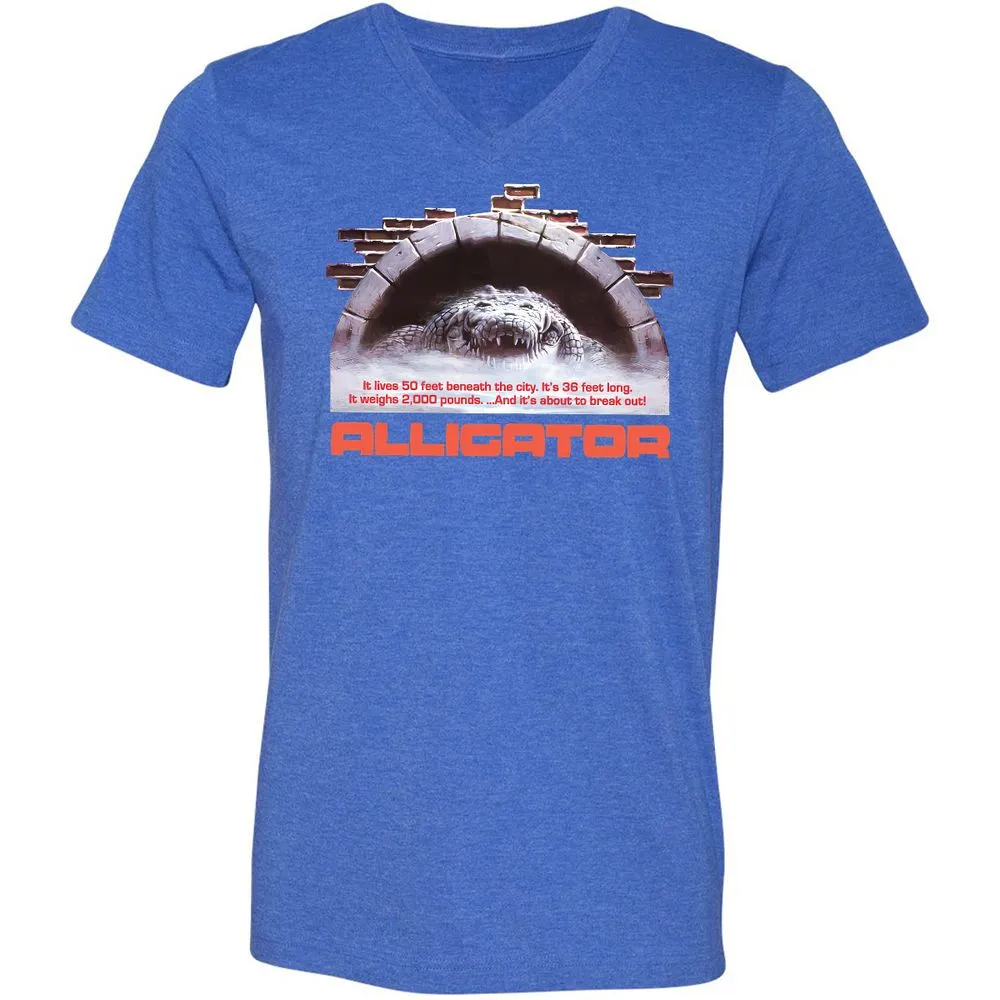 Unisex V-Neck T-Shirt - 2ZSVGE16 - Heather True Royal - 14