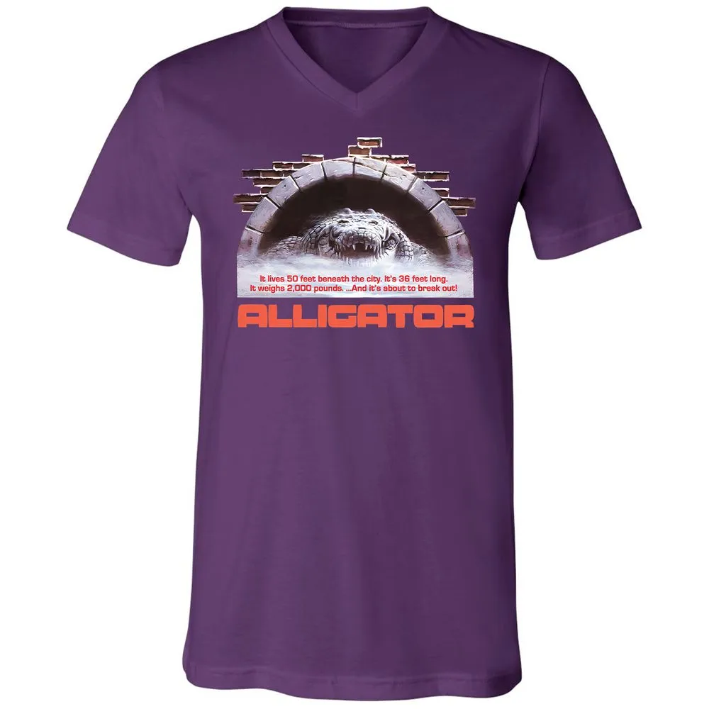 Unisex V-Neck T-Shirt - 2ZSVGE16 - Team Purple - 9