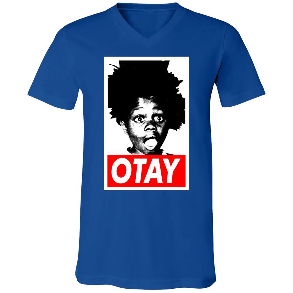Unisex V-Neck T-Shirt - BW6CY1Y4 - True Royal - 4