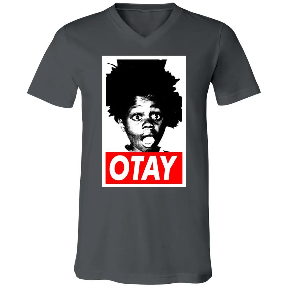 Unisex V-Neck T-Shirt - BW6CY1Y4 - Asphalt - 12