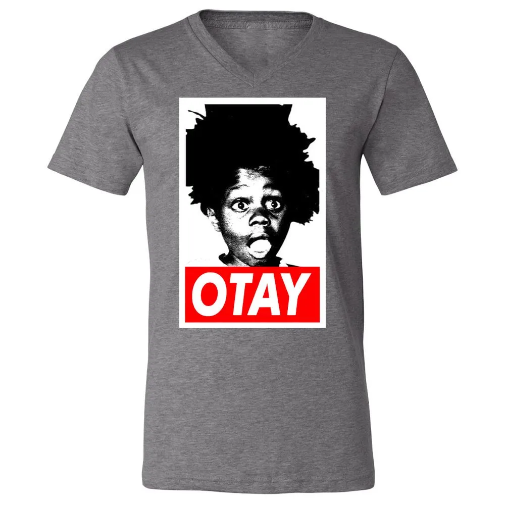 Unisex V-Neck T-Shirt - BW6CY1Y4 - Deep Heather - 13