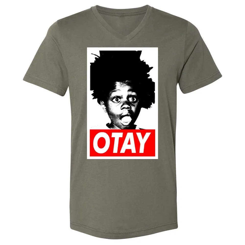 Unisex V-Neck T-Shirt - BW6CY1Y4 - Military Green - 10