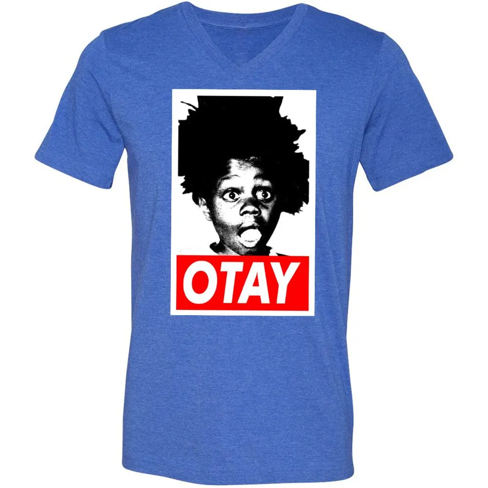 Unisex V-Neck T-Shirt - BW6CY1Y4 - Heather True Royal - 14
