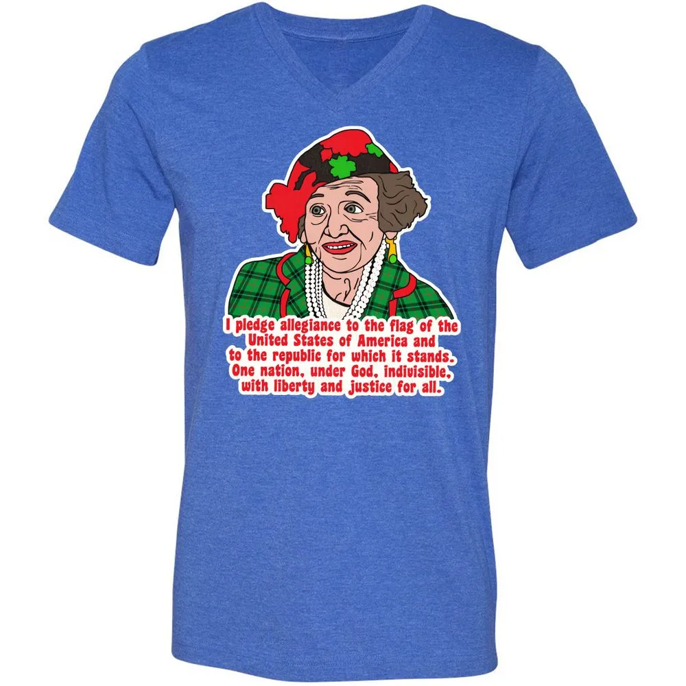 Unisex V-Neck T-Shirt - 1UBJXAMS - Heather True Royal - 14