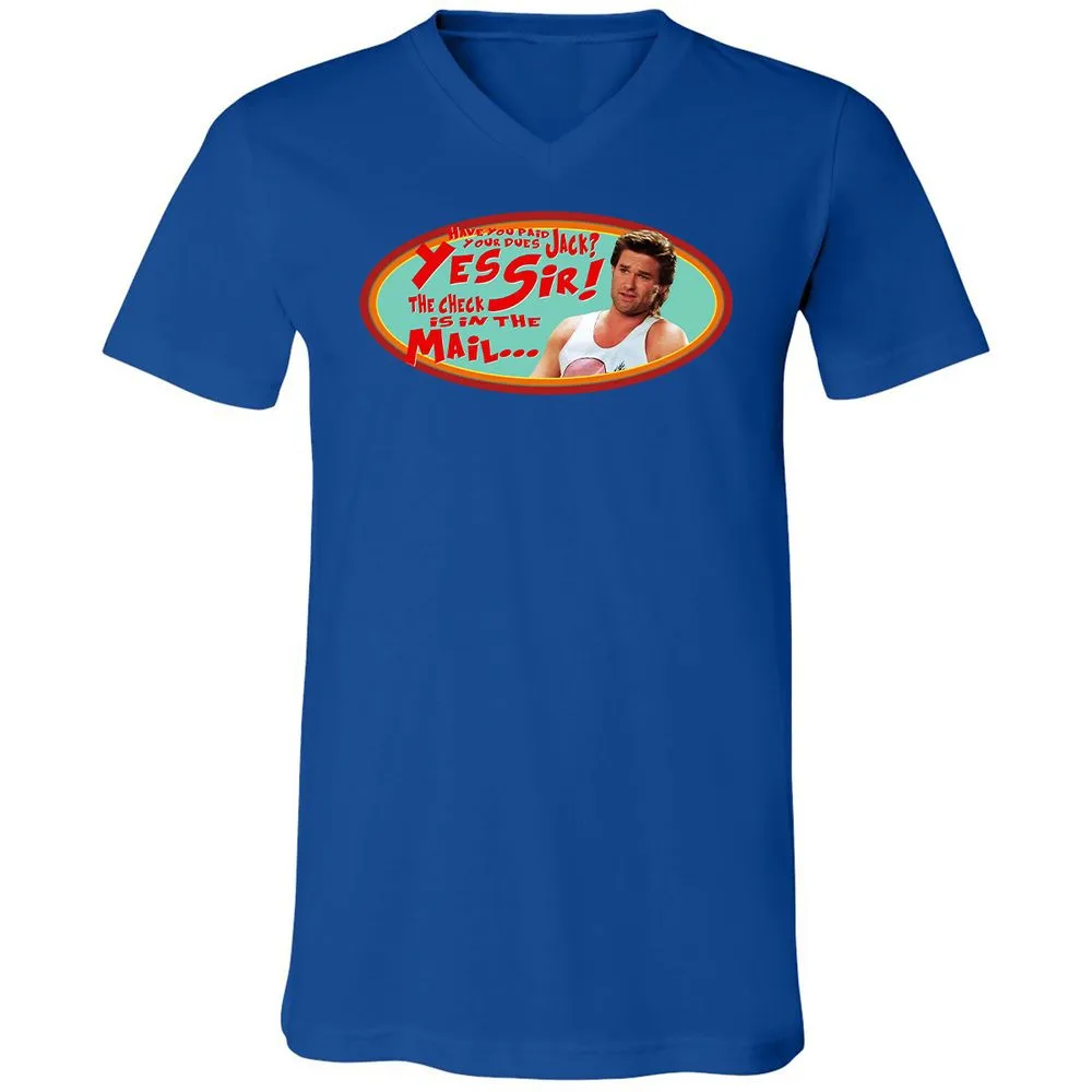Unisex V-Neck T-Shirt - HZVFGSY8 - True Royal - 4
