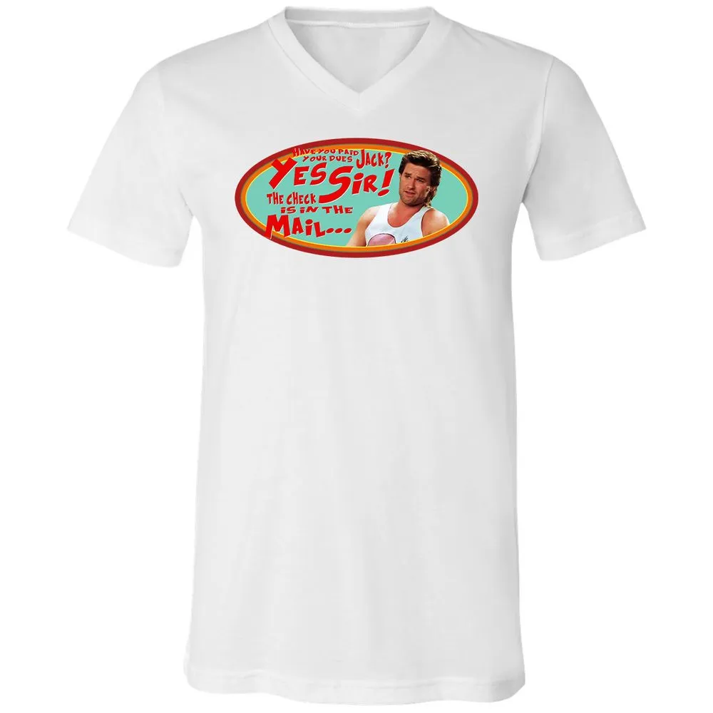 Unisex V-Neck T-Shirt - HZVFGSY8 - White - 5