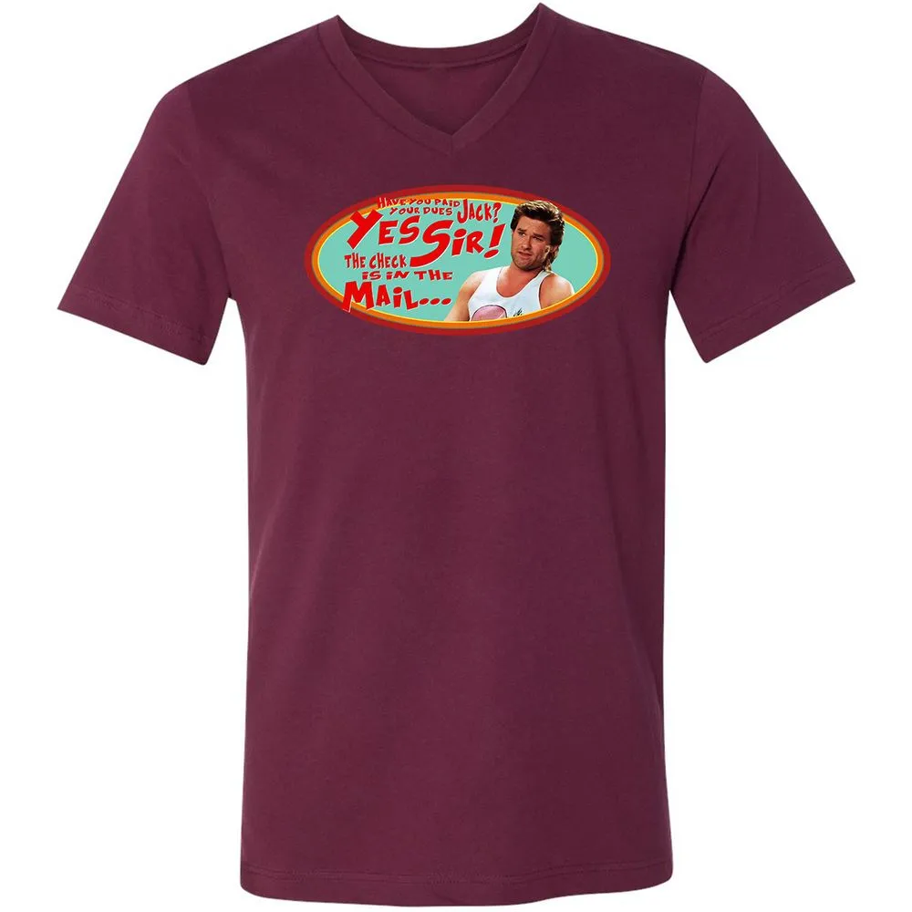 Unisex V-Neck T-Shirt - HZVFGSY8 - Maroon - 6