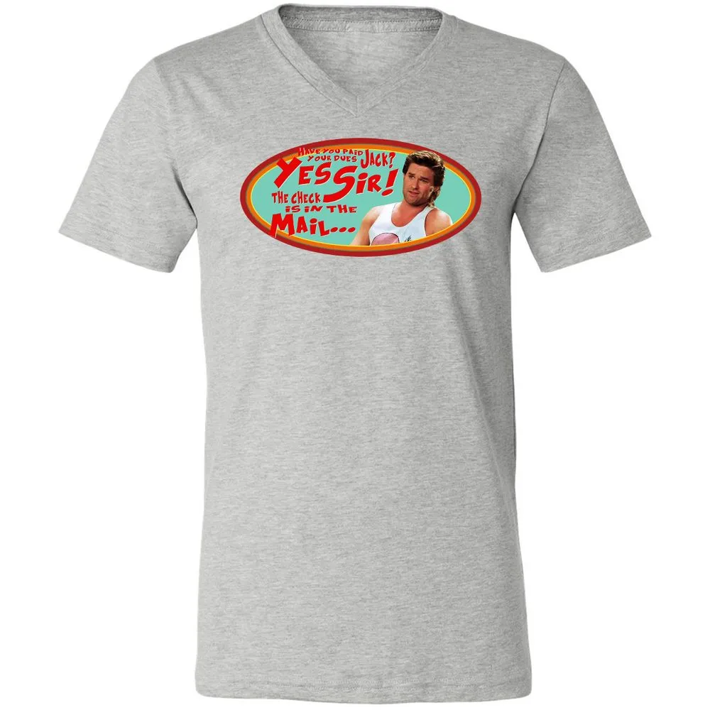 Unisex V-Neck T-Shirt - HZVFGSY8 - Athletic Heather - 7