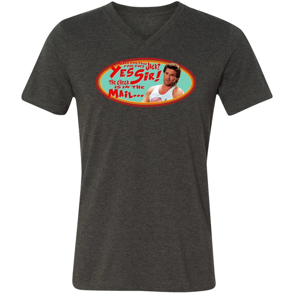 Unisex V-Neck T-Shirt - HZVFGSY8 - Dark Grey Heather - 8